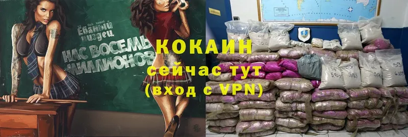 закладки  Нижние Серги  Cocaine Колумбийский 